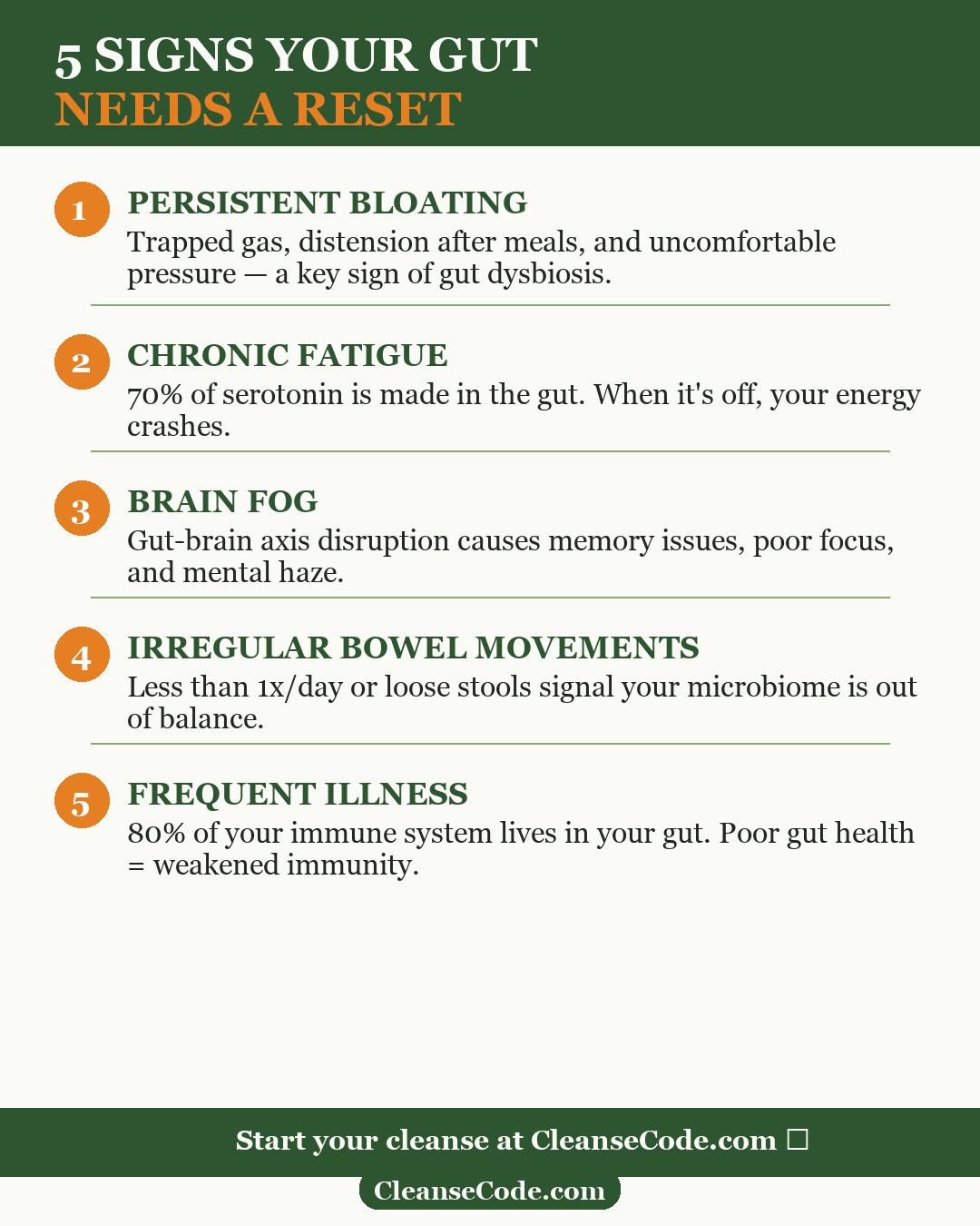5 signs your gut needs a reset infographic